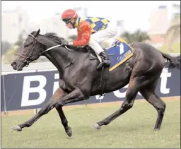  ?? Picture: Candiese Marnewick ?? Glen Kotzen saddles PACK LEADER in The Sledgehamm­er (seventh race) at Greyville today. Richard Fourie has the ride.