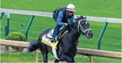  ?? THE ASSOCIATED PRESS ?? Kentucky Derby hopeful Always Dreaming works out last Friday under jockey John Velazquez at Churchill Downs in Louisville, Ky.