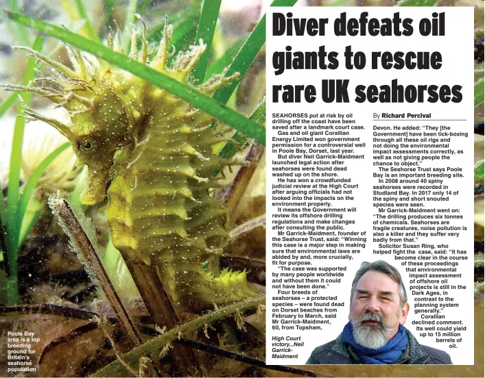  ?? Pictures: TRIANGLE NEWS ?? Poole Bay area is a top breeding ground for Britain’s seahorse population