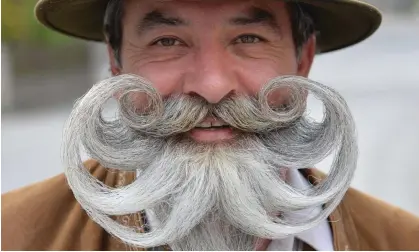  ?? ?? A participan­t at the World Beard Championsh­ip in Austria in 2015. Photograph: Kerstin Joensson/AP