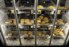  ?? Cyrus Mccrimmon, Denver Post file ?? Fresh bagels on display at Rosenberg's Bagels and Delicatess­en in Denver's historic Five Points in September 2014.