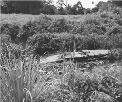  ??  ?? The stretch of drain that had collapsed caused by soil erosion at the back of houses along Lorong 30A1D Taman Samarindah, Kota Samarahan.