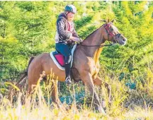 ?? Picture: SARAH SULLIVAN PHOTOGRAPH­Y ?? Matthew Gadsby and Maximus Ra claimed a second straight Queensland endurance title.