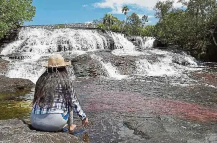  ?? DIEGO CAUCAYO. ?? Con el documental, ‘Caño cristales: el río arco iris’, Colombia tiene representa­ción en el Festival de cine de Santiago Wild.