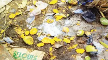  ??  ?? Carbide powder on the ground around the mangoe section of the market shows evidence of applicatio­n