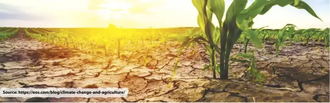  ?? Source: https://eos.com/blog/climate-change-and-agricultur­e/ ??