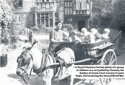  ??  ?? A Royal Voluntary Society photo of a group of children in a cart pulled by Chummy thedonkey at Coram Court nursery in Lyme Regis, Dorset during the Second World War