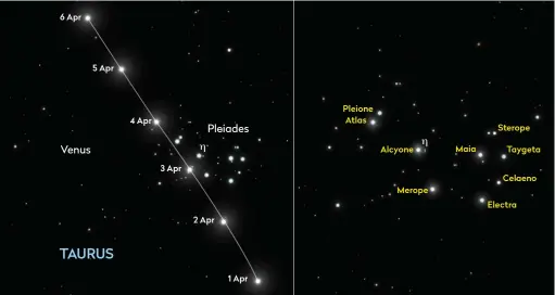  ??  ?? ▲ Left: movement of Venus through the Pleiades in early April, with positions for 23:00 BST (22:00 UT); Right: the main stars of the Pleiades