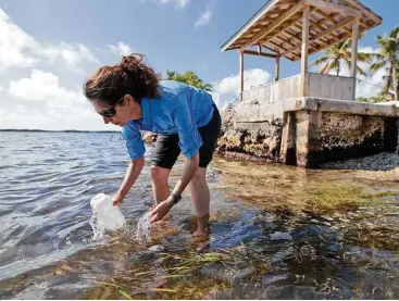  ?? Wilfredo Lee / Associated Press ?? Sarah Egner, director of research and curriculum developmen­t at MarineLab in Key Largo, Fla., takes a water sample to check for microscopi­c plastics. Gulf Coast researcher­s are preparing to launch a study to see what kinds of microscopi­c plastics can...