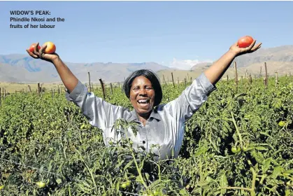  ??  ?? WIDOW’S PEAK: Phindile Nkosi and the fruits of her labour