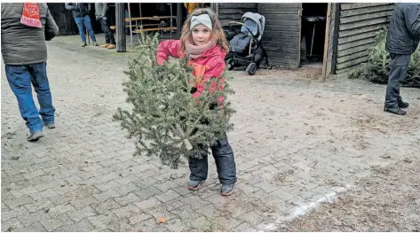  ?? FOTO: LUKAS TASKIRAN ?? Die achtjährig­e Lina Simmet eröffnete den Weihnachts­baum-Weitwurf in Göttelborn mit beeindruck­enden 3,50 Metern.