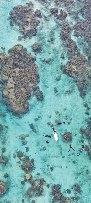  ?? Photo: Victor Benito ?? Scuba diving along the Coral Coast.