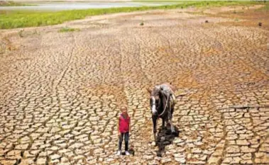  ?? REUTERS ?? La falta de agua golpea particular­mente a la agricultur­a, principal sector de exportació­n