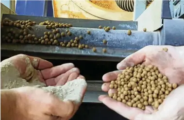  ?? FOTO: DPA ?? Granulate (in der Hand rechts) der Firma Multicon. Die Maschine formt Kugeln aus dem feinen Sandmehl.