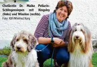  ?? Foto: KJF/Winfried Karg ?? Chefärztin Dr. Maike PellarinSc­hlingensie­pen mit Kingsley (links) und Winston (rechts).