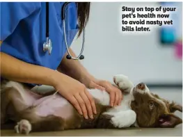  ?? ?? Stay on top of your pet’s health now to avoid nasty vet bills later.
