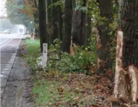  ?? FOTO PPN ?? De wagen van het slachtoffe­r reed tegen vijf bomen.