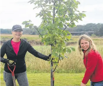Efforts continue to keep Kentville green - PressReader