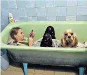  ?? ?? Zlata-maria Shlapak sits in the bath with her puppy Letti as a missile raid siren goes off. Her family are renting an apartment in Lviv to use as a temporary refuge