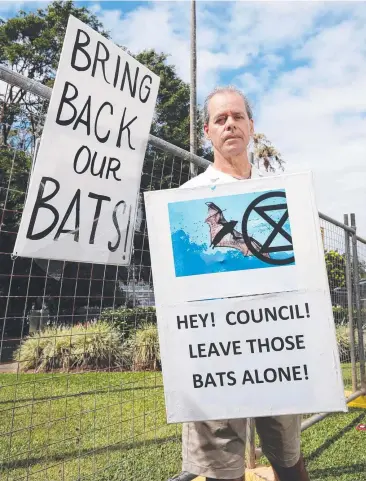  ??  ?? ON NOTICE: Environmen­tal activist Geoff Holland says a Cairns Regional Council bat-dispersal program is creating stress on flying foxes which is putting them at risk. Picture: BRENDAN RADKE