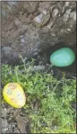  ?? NEWS-SENTINEL FILE PHOTOGRAPH ?? Eggs lay waiting to be found during the Spring Egg Hunt at Hutchins Street Square in Lodi on March 26, 2016.