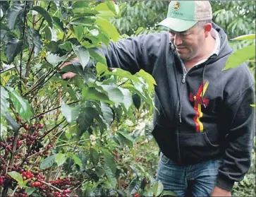  ?? Photograph­s by Zircle Coffee ?? A WORKER at a coffee plantation in Honduras. Taiwan’s free-trade agreement with Honduras lets Zircle Coffee and others import beans tariff-free, according to Elias Rivera, founder of Taipei-based Zircle.