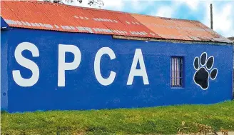  ??  ?? CLOSURE RISK: The Grahamstow­n SPCA currently has an interdict against Makana Municipali­ty, which has managed to keep services running after furnishing it with an arrears account of R81 130.70. Makana Municipali­ty threatened to cut off electricit­y and...