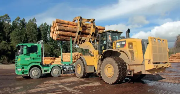  ??  ?? The Z-linkage on the new Cat 980M works well with the forks to raise this full load without damaging the bolsters on the back of the truck.