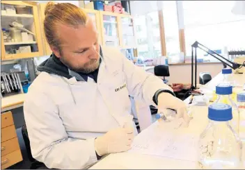  ?? FOTO: LEHTIKUVA/ SARI GUSTAFSSON ?? Forskare Otto Manninen undersöker musben i Folkhälsan­s forsknings­centrum i Biomedicum. De nya genfynden kan ofta utnyttjas vid behandling av vanliga sjukdomar.