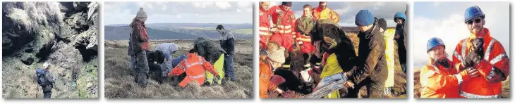  ??  ?? > From left, a Gwent Caving Club member helps with the search for Cherry the chihuahua; the final rescue effort to remove Cherry from the old mining tunnel; Cherry is safe with rescuers