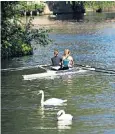  ?? ?? Rowers pass some swans on the Thames near Maidenhead yesterday