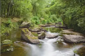  ??  ?? La forêt de Huelgoat, traversée par la rivière d’argent, avec son relief accidenté, ses tapis de mousse épaisse, ses hêtres et ses chênes multicente­naires, semble un vestige de Brocéliand­e.