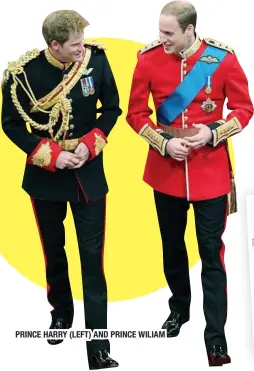  ??  ?? PRINCE HARRY (LEFT) AND PRINCE WILIAM