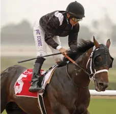  ?? Racingfoto­s ?? Pat Dobbs will partner Cosmo Charlie for trainer Doug Watson today in the fifth race at Meydan Racecourse