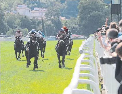  ?? FOTO: LUIS MARI UNCITI ?? ‘Virrey' fue el más rápido en el sprint sobre los 1.200 metros del Premio Carrús, carrera principal de la jornada