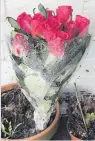  ??  ?? Roses left outside Monte Cristo Express