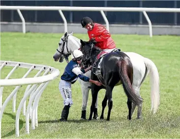  ??  ?? Jockey Ryan Moore checks on the condition of The Cliffsofmo­her during the Melbourne Cup. The horse was euthanised after the race. GETTY IMAGES