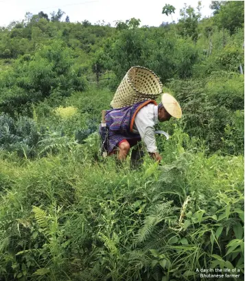  ??  ?? A day in the life of a Bhutanese farmer