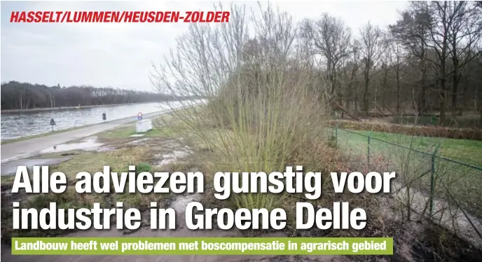  ?? FOTO KAREL HEMERIJCKX ?? Als het industriet­errein er ooit komt in de Groene Delle, moet elders liefst 64 hectare bos aangelegd worden.