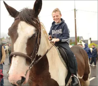  ??  ?? Shane Jones from Buttevant enjoyed the Millstreet Horse Fair last year.