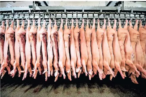  ?? FOTO: MOHSSEN ASSANIMOGH­ADDAM/DPA ?? Halbierte Schweine hängen im Schlachtho­f.