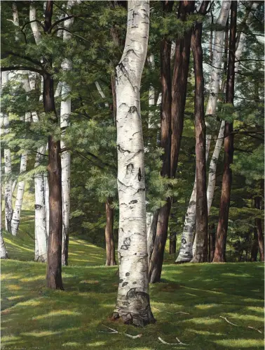  ??  ?? Luigi Lucioni (1900-1988), In the Birches, 1974-77. Oil on canvas, 241/8 x 181/16 in., signed and dated lower left: ‘Luigi Lucioni 1974-77’.