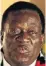  ??  ?? Emmerson Mnangagwa