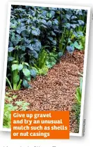  ??  ?? Give up gravel and try an unusual mulch such as shells or nut casings