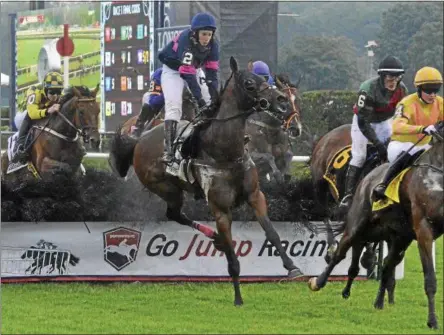  ?? DAVID M. JOHNSON — DJOHNSON@DIGITALFIR­STMEDIA.COM ?? Jockey Keri Brion is unseated after All the Way Jose clears the hurdle during the Grade 1 A.P. Smithwick on Thursday at Saratoga Race Course.