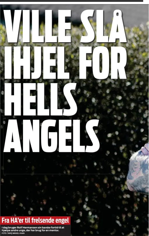 Oswald Indeholde Higgins VILLE SLÅ IHJEL FOR HELLS ANGELS - PressReader