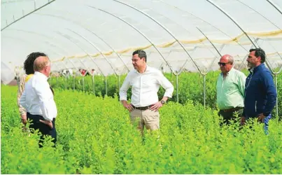  ?? JUNTA DE ANDALUCÍA ?? Juanma Moreno, ayer durante su visita a la cooperativ­a de segundo grado Onubafruit