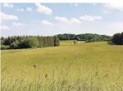  ??  ?? Zuweilen führt der Galaxienwe­g aus dem Wald heraus und enthüllt die idyllische Eifler Landschaft.