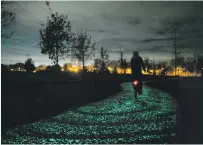  ??  ?? The Van Gogh Bicycle Path featured solar-powered stones that respond to live traffic situations