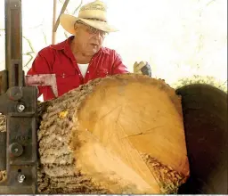  ??  ?? Jamie Smilie of Inola, Okla., demonstrat­es cutting logs down to boards and timber at the Tired Iron of the Ozarks sawmill on Friday at the club’s Gentry showground­s.